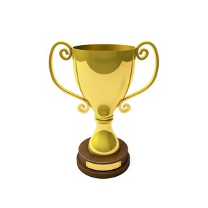 NaNoWriMo Winner!