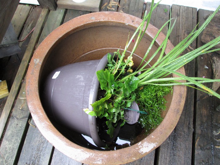 An upturned flower pot