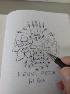 Sketch of a planting idea for a pot